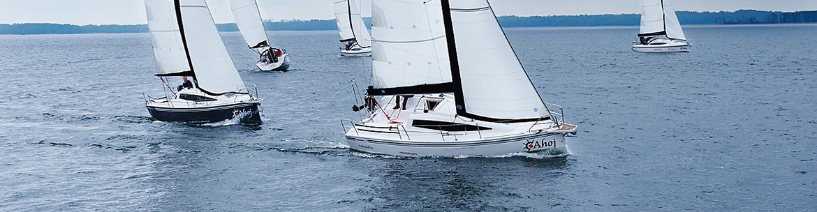 Maxus 26 регата