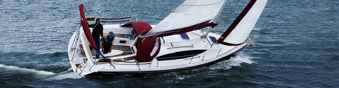 Maxus 33.1RS тик в кокпите